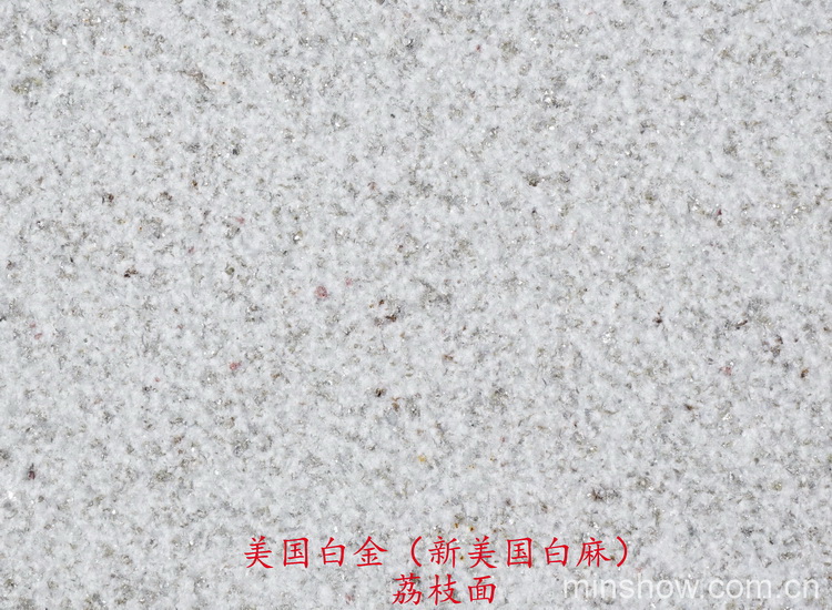 (gu)׽  ֦棨(gu)飩